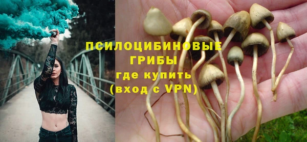 стафф Верея