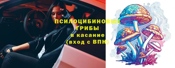 индика Тында