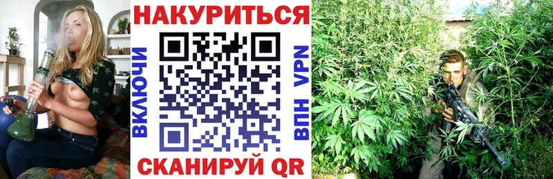 как найти закладки Каргополь МАРИХУАНА конопля